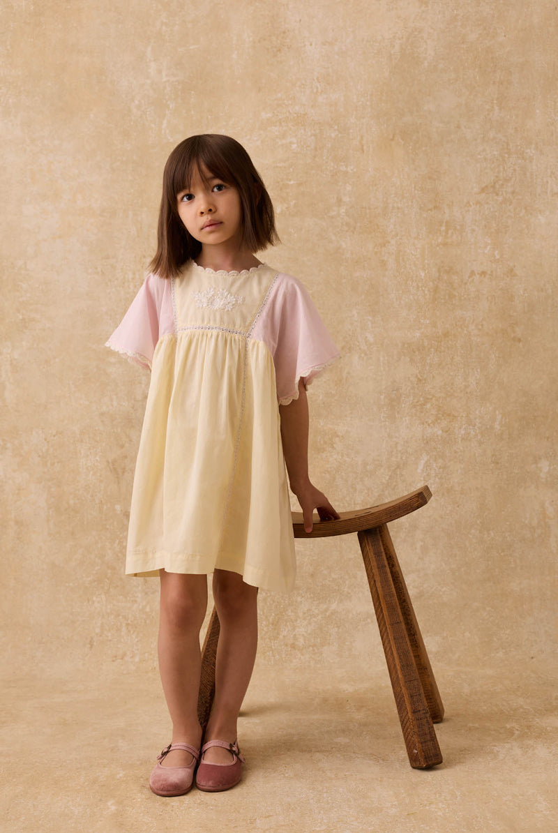 Aurora Dress