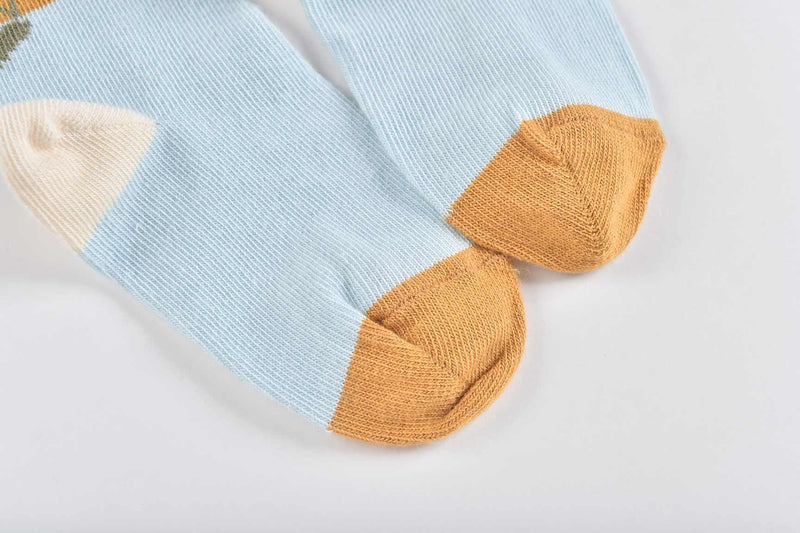 Chaussettes Cedic