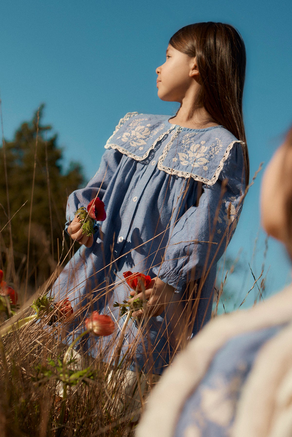 Robe Hyacinte